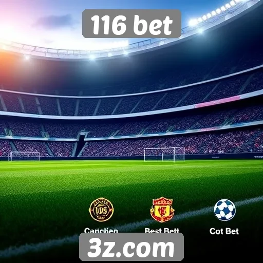 Recursos e funcionalidades do 116 bet