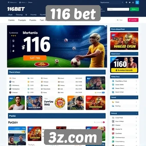Navegação e usabilidade do site 116 bet