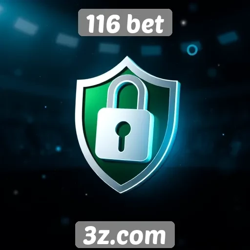 Metalidade de segurança em transações no 116 bet